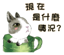 Cotton Ball and little rabbit sticker #9863442