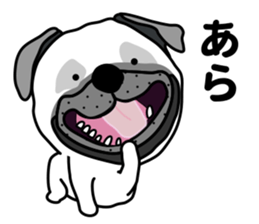 Unrestrained pug sticker #9864644