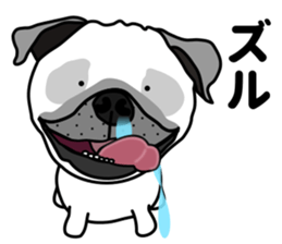 Unrestrained pug sticker #9864652