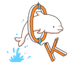 Because the Dolphin sticker #9865424