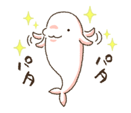 Because the Dolphin sticker #9865435