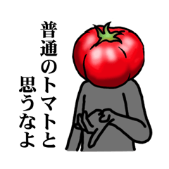 TOMATO 120%
