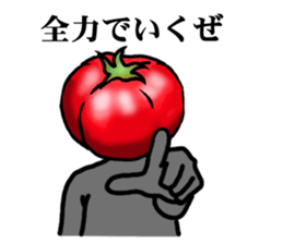 TOMATO 120% sticker #9866661