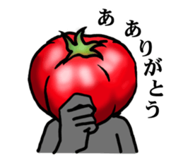 TOMATO 120% sticker #9866668