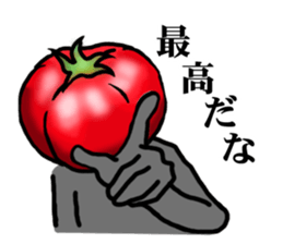 TOMATO 120% sticker #9866672
