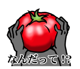 TOMATO 120% sticker #9866673