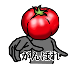 TOMATO 120% sticker #9866675