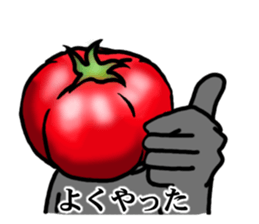 TOMATO 120% sticker #9866679