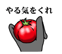 TOMATO 120% sticker #9866682