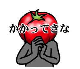 TOMATO 120% sticker #9866683