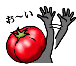 TOMATO 120% sticker #9866690