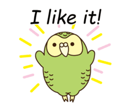 Happy Kakapo 4 Eng sticker #9866715