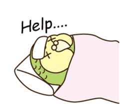 Happy Kakapo 4 Eng sticker #9866721