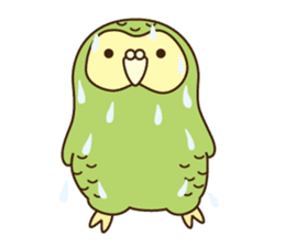 Happy Kakapo 4 Eng sticker #9866724