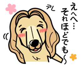 iinu - Afghan Hound sticker #9867181