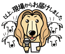 iinu - Afghan Hound sticker #9867185