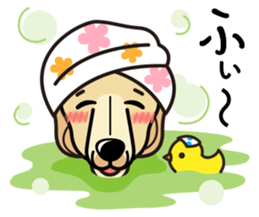 iinu - Afghan Hound sticker #9867191