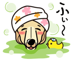 iinu - Afghan Hound sticker #9867191