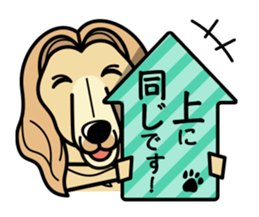 iinu - Afghan Hound sticker #9867194