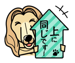 iinu - Afghan Hound sticker #9867194