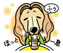 iinu - Afghan Hound sticker #9867206