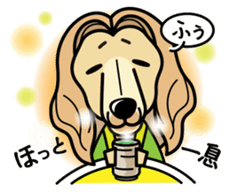 iinu - Afghan Hound sticker #9867206