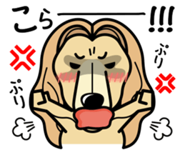 iinu - Afghan Hound sticker #9867207