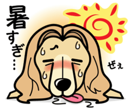 iinu - Afghan Hound sticker #9867213