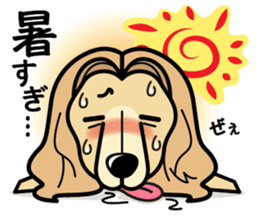 iinu - Afghan Hound sticker #9867213