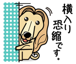 iinu - Afghan Hound sticker #9867214