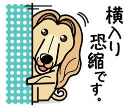 iinu - Afghan Hound sticker #9867214