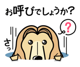 iinu - Afghan Hound sticker #9867215