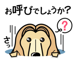 iinu - Afghan Hound sticker #9867215