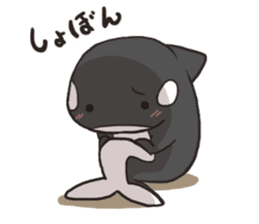 Of killer whales, Shatchi sticker #9867497