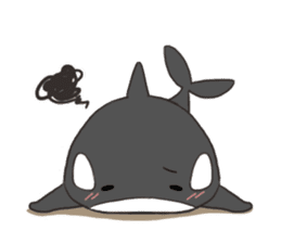 Of killer whales, Shatchi sticker #9867501