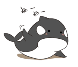 Of killer whales, Shatchi sticker #9867509
