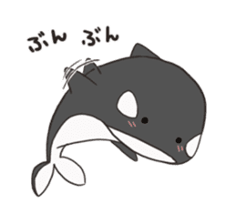Of killer whales, Shatchi sticker #9867515