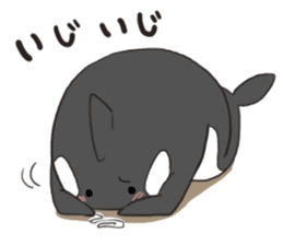 Of killer whales, Shatchi sticker #9867518