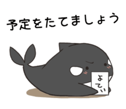 Of killer whales, Shatchi sticker #9867524