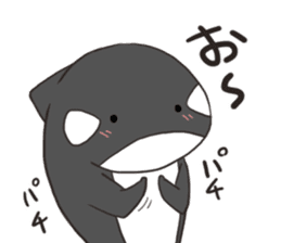 Of killer whales, Shatchi sticker #9867531