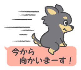 Small Chihuahua dog sticker #9868148