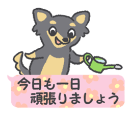 Small Chihuahua dog sticker #9868154