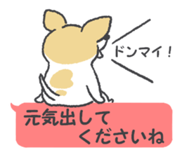 Small Chihuahua dog sticker #9868155