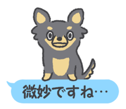 Small Chihuahua dog sticker #9868160