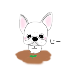 French bulldog wanko Ume 4 sticker #9868821