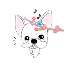 French bulldog wanko Ume 4 sticker #9868822