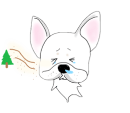 French bulldog wanko Ume 4 sticker #9868828