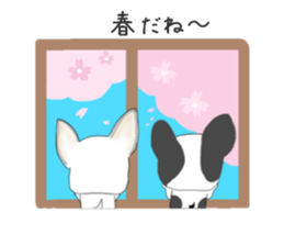 French bulldog wanko Ume 4 sticker #9868836