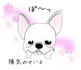 French bulldog wanko Ume 4 sticker #9868837