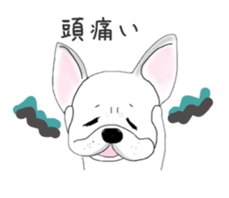 French bulldog wanko Ume 4 sticker #9868842